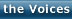 the Voices - �A�L�n�o��Shop�̐��̐�