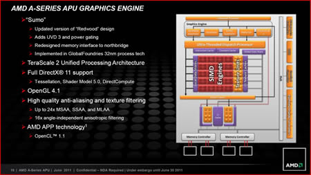 AMD