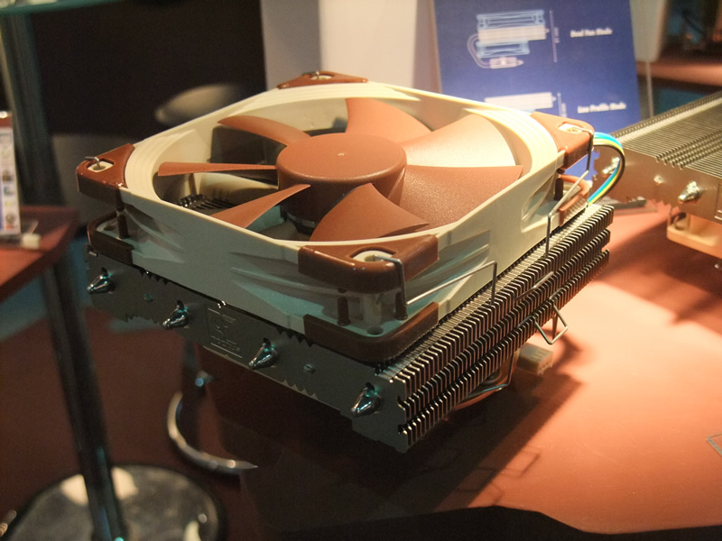 Noctua