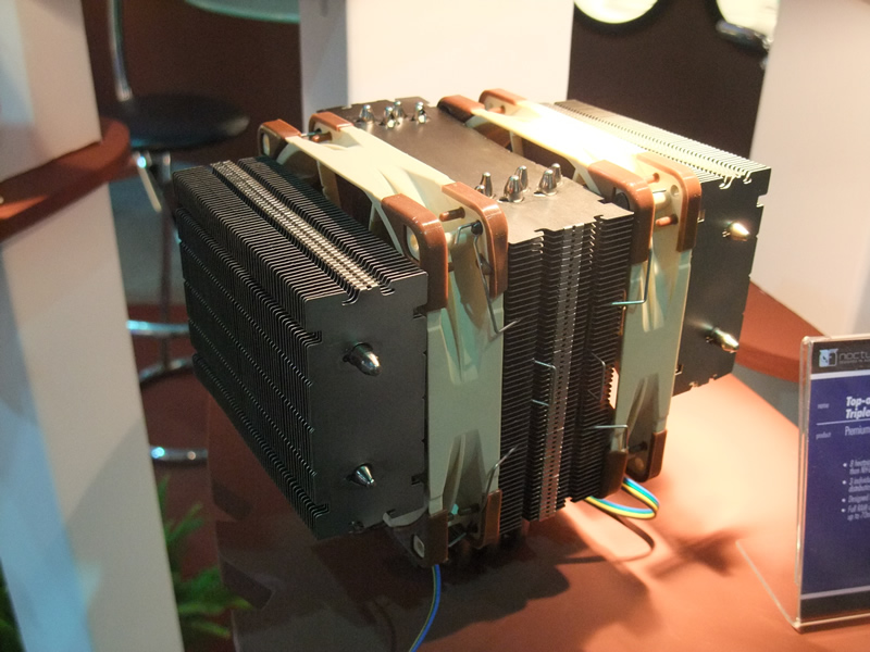 Noctua