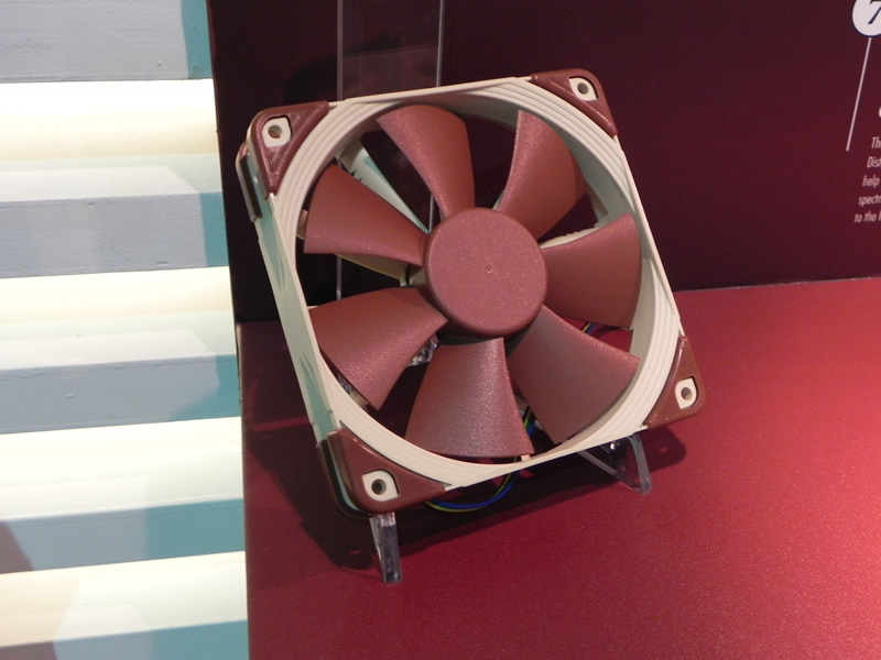 Noctua