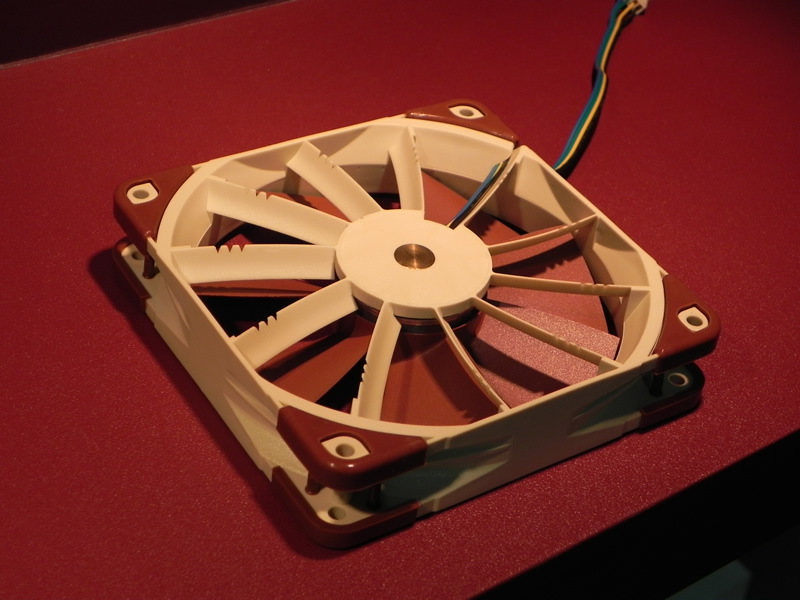 Noctua