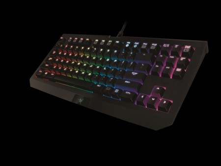 フルカラーLEDを内蔵するテンキーレスキーボード、Razer「BlackWidow Tournament Edition Chroma」