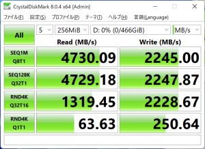 pg3nf2_523_256_disk_724x527a