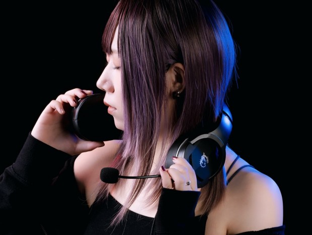 MSI_headset_42_1024x768