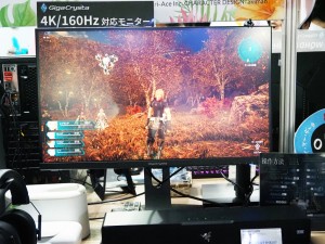 tgs_io_001_1024x768g