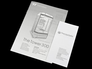 The Tower 300