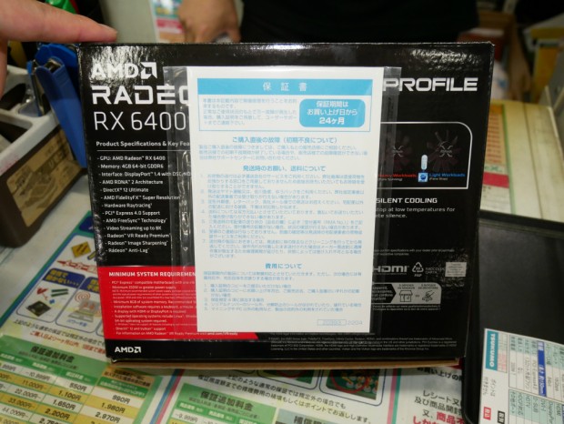 RX6400 LP 4G