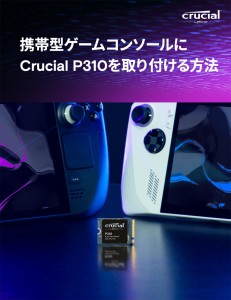 Crucial P310