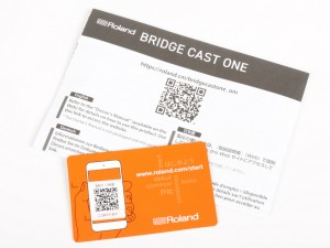 BRIDGE CAST ONE