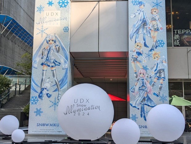 UDX Snow Illumination 2024